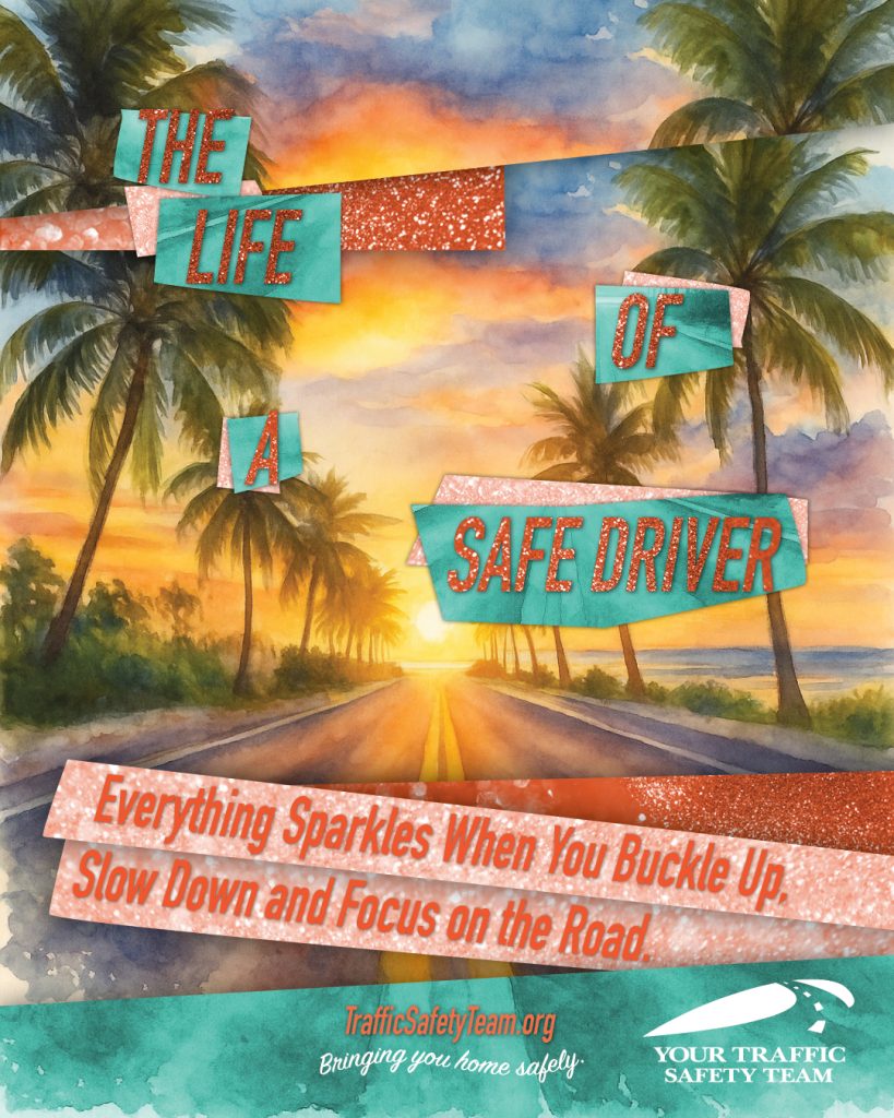 The Life of a Safe Driver